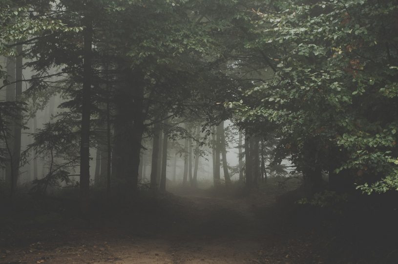 The Redemptive Power of Confession